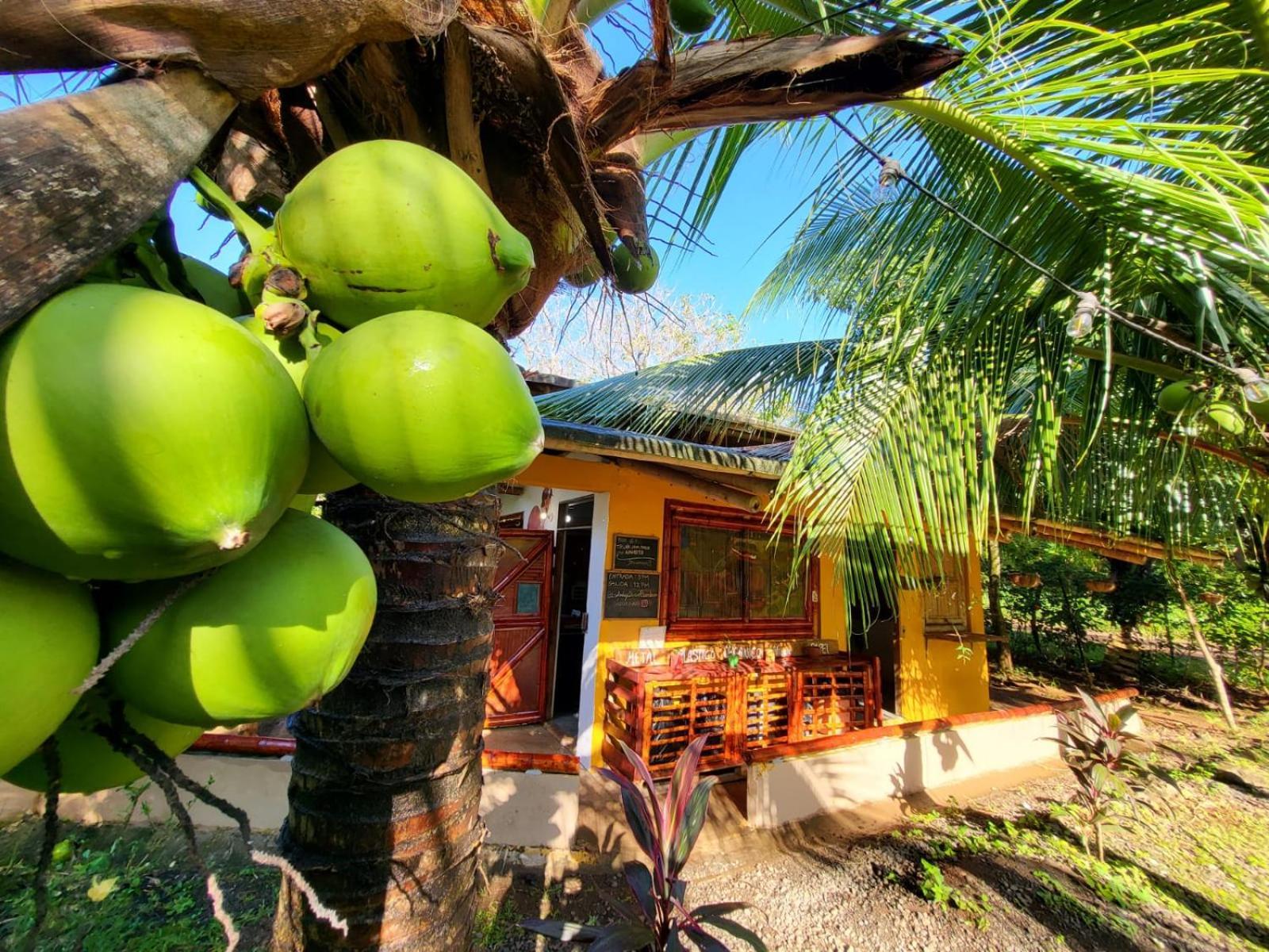 Eco-Lodge Deseo Bamboo Santa Catalina Exterior foto